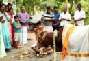 ശ്രീകൃഷ്ണ ജയന്തി ആഘോഷത്തിന്റ ഭാഗമായി പെരുവട്ടൂരില്‍ ഗോപൂജ നടത്തി