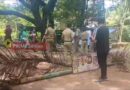 നിപ : സമ്പർക്ക പട്ടികയിലുള്ളത് 702 പേർ