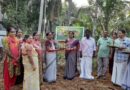 കീഴരിയൂർ ഗ്രാമപഞ്ചായത്തിൽ ഗ്രൂപ്പ് അടിസ്ഥാനത്തിലുള്ള പച്ചക്കറി കൃഷിക്ക് തുടക്കമായി