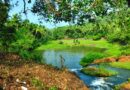 മഞ്ഞപ്പുഴ-രാമൻ പുഴ സമഗ്ര വികസനം; കാട്ടാംവള്ളി ടൂറിസത്തിനു രണ്ട് കോടി