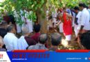ശക്തൻകുളങ്ങരയിൽ മഹോത്സവത്തിനുള്ള പ്ലാവ് കൊത്തി