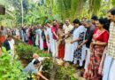 ആച്ചിക്കുളങ്ങര- കണ്ടംചിറ തോട് ശുചീകരണത്തിലൂടെ ‘ഇനി ഞാനൊഴുകട്ടെ’ ജനകീയ ക്യാമ്പയിനിന് ജില്ലയില്‍ തുടക്കമായി