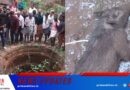 ഊരള്ളൂരില്‍ വീട്ടിലെ കിണറ്റില്‍ വീണ കാട്ടുപന്നിയെ വെടിവെച്ചു കൊന്നു