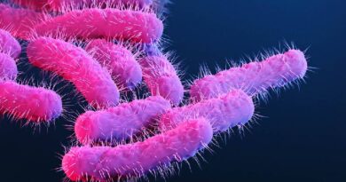 കോഴിക്കോട് മൂന്നര വയസുകാരി ഷിഗല്ല ബാധിച്ച് മരിച്ചു, 5 പേര്‍ക്ക് രോഗലക്ഷണങ്ങള്‍