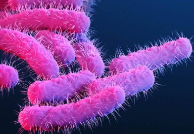 കോഴിക്കോട് മൂന്നര വയസുകാരി ഷിഗല്ല ബാധിച്ച് മരിച്ചു, 5 പേര്‍ക്ക് രോഗലക്ഷണങ്ങള്‍