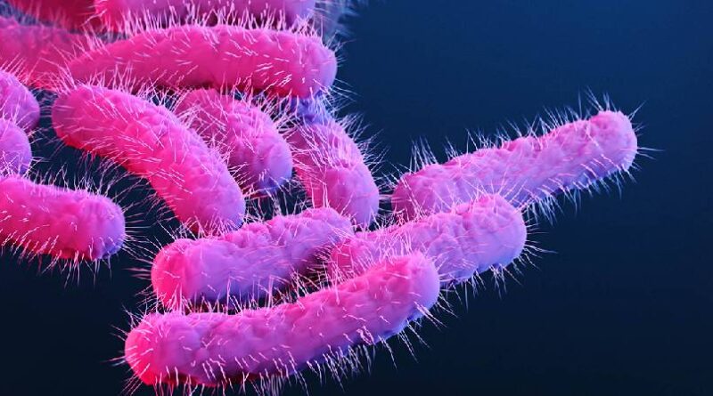 കോഴിക്കോട് മൂന്നര വയസുകാരി ഷിഗല്ല ബാധിച്ച് മരിച്ചു, 5 പേര്‍ക്ക് രോഗലക്ഷണങ്ങള്‍