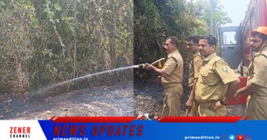 ക്ഷേത്രക്കാവിലെ അടിക്കാടിന് തീ പിടിച്ചു