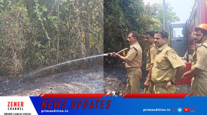 ക്ഷേത്രക്കാവിലെ അടിക്കാടിന് തീ പിടിച്ചു