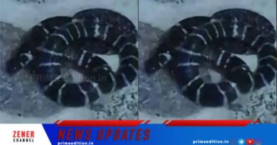 പേരാമ്പ്രയില്‍ യുവതിക്ക് പാമ്പ് കടിയേറ്റു