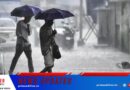 കോഴിക്കോട് ഉള്‍പ്പെടെ സംസ്ഥാനത്ത് ഇന്ന് ആറ് ജില്ലകളിൽ യെല്ലോ അലർട്ട്