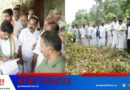 ചുഴലിക്കാറ്റിൽ നശിച്ച വിളകള്‍ സൗജന്യമായി റീപ്ലാന്റ് ചെയ്യാൻ നടപടി -മന്ത്രി ടി സിദ്ദിഖ്