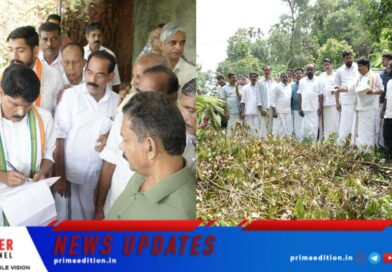 ചുഴലിക്കാറ്റിൽ നശിച്ച വിളകള്‍ സൗജന്യമായി റീപ്ലാന്റ് ചെയ്യാൻ നടപടി -മന്ത്രി ടി സിദ്ദിഖ്