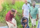 തിരുവങ്ങായൂർ മഹാശിവക്ഷേത്രത്തിൽ പരിസ്ഥിതി ദിനാചരണം സംഘടിപ്പിച്ചു
