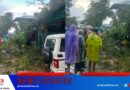 മരം കടപുഴകി വീണ് ബൈക്ക് യാത്രക്കാരന് ദാരുണാന്ത്യം