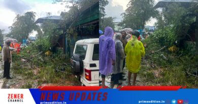 മരം കടപുഴകി വീണ് ബൈക്ക് യാത്രക്കാരന് ദാരുണാന്ത്യം