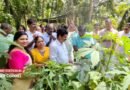 കൊയിലാണ്ടി എളാട്ടേരിയിൽ മഴക്കാല പച്ചക്കറി കൃഷിക്ക് നൂറുമേനി; വിളവെടുപ്പ് ആവേശമായി