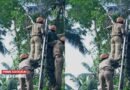 മരത്തിൽ കൈ കുടുങ്ങിയ തൊഴിലാളിയെ ഫയർഫോഴ്സ് രക്ഷപ്പെടുത്തി
