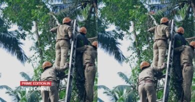 മരത്തിൽ കൈ കുടുങ്ങിയ തൊഴിലാളിയെ ഫയർഫോഴ്സ് രക്ഷപ്പെടുത്തി