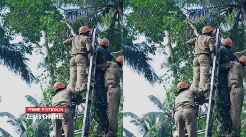 മരത്തിൽ കൈ കുടുങ്ങിയ തൊഴിലാളിയെ ഫയർഫോഴ്സ് രക്ഷപ്പെടുത്തി മരത്തിൽ കൈ കുടുങ്ങിയ തൊഴിലാളിയെ ഫയർഫോഴ്സ് രക്ഷപ്പെടുത്തി
