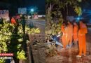 സംസ്ഥാനപാതയിൽ കരുവണ്ണൂരിൽ മരം വീണ് ഗതാഗതം തടസപ്പെട്ടു