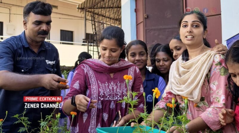 പഠനത്തോടൊപ്പം ഇവിടെ വര്ണ്ണവിസ്മയങ്ങളുടെ വിളവെടുപ്പും: മേപ്പയൂര് ഹയര് സെക്കന്ഡറി സ്കൂളില് ചെണ്ടുമല്ലി വിളവെടുപ്പ് നടത്തി പഠനത്തോടൊപ്പം ഇവിടെ വര്ണ്ണവിസ്മയങ്ങളുടെ വിളവെടുപ്പും: മേപ്പയൂര് ഹയര് സെക്കന്ഡറി സ്കൂളില് ചെണ്ടുമല്ലി വിളവെടുപ്പ് നടത്തി